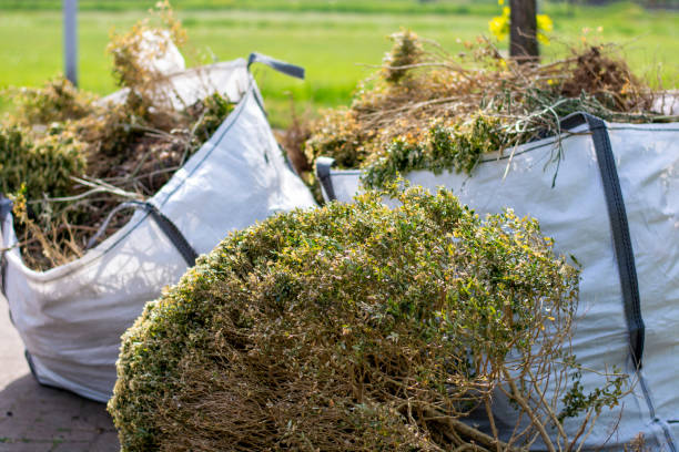 Best Trash Removal Near Me  in Romeovle, IL